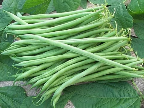 Loại rau rẻ bèo là vua canxi, nấu món gì cũng bổ