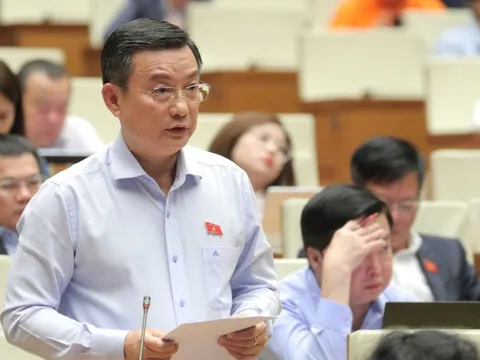 Đại biểu lo ngại 99% dữ liệu hành vi người Việt ở nước ngoài, doanh nghiệp trong nước đói dữ liệu