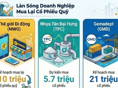 Loạt công ty Thế giới di động, Nhựa Tân Đại Hưng, T-Corp, Gemadept có cùng một hành động
