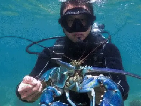 6 "kho báu" mang về 10,8 triệu tỷ đồng cho Việt Nam; Tiến thẳng vào Top 15 của thế giới