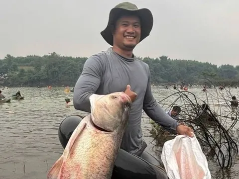 Bắt cá 'khủng' 30 kg khi thủy điện lớn nhất miền Nam đóng đập xả tràn