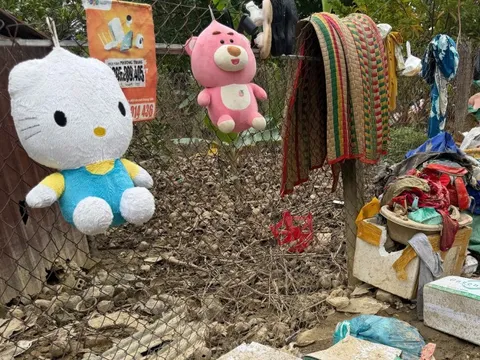 Hồi sinh sau lũ: Người đàn ông 'nổi tiếng' trên mạng do mặc áo... nữ nay thành người dẫn đường