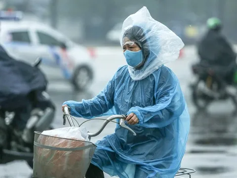 Dự báo thời tiết 4/12: Miền Bắc có nơi mưa rét, thấp nhất dưới 12°C