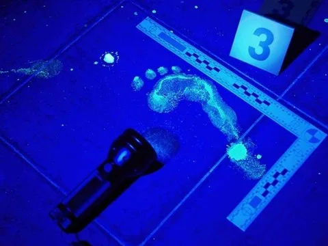 Luminol - "mắt thần" truy xét hiện trường, có khả năng phát hiện vết máu dù được pha loãng tới 10.000 lần