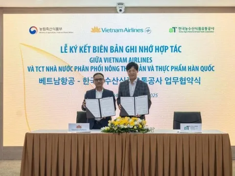 aT Center – Vietnam Airlines hợp tác quảng bá nho Hàn Quốc trên các chuyến bay quốc tế