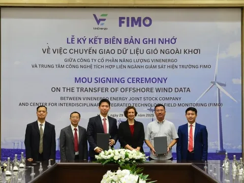 VinEnergo của tỷ phú Phạm Nhật Vượng có "tướng" mới: Là người cũ của VinaCapital