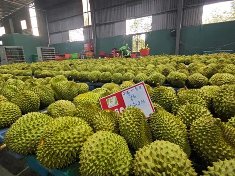 Xuất khẩu nông, lâm, thủy sản sớm về đích