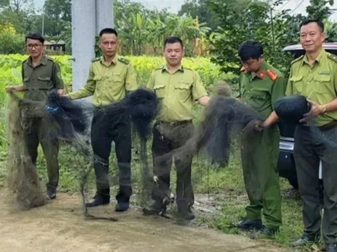 Kiểm lâm TP.HCM tháo gỡ 500m lưới giăng bẫy chim trời ở cù lao Thạnh Hội