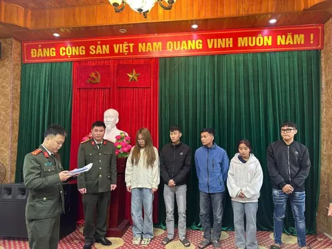 Khởi tố Lương Quỳnh Anh