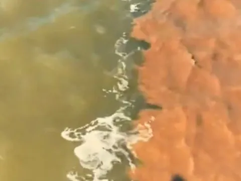 Thực hư hiện tượng biển 'âm dương' ở Cà Mau