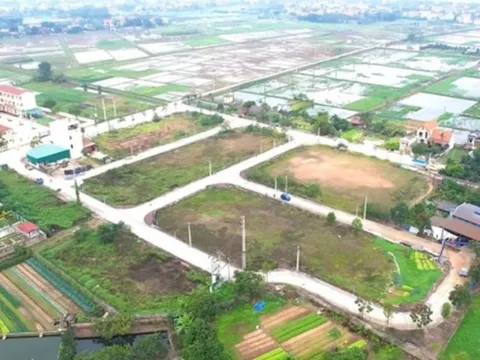 Phú Thọ sắp đấu giá khu đất hơn 7,4 ha làm nhà ở, giá khởi điểm hơn 185 tỷ đồng