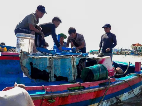 Bình Thuận lũ rút chậm, người dân gượng dậy sau hai 'đòn nước' dữ