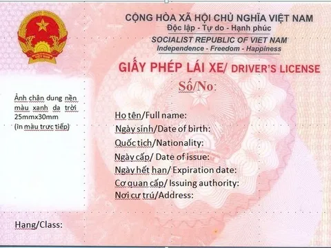 Cục CSGT đã cấp giấy phép lái xe mới màu hồng: Có bắt buộc đổi ngay trong năm nay?