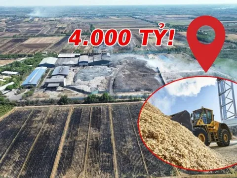 An Giang quy hoạch 2 dự án điện sinh khối hơn 4.000 tỷ - Đây là VỊ TRÍ cụ thể!