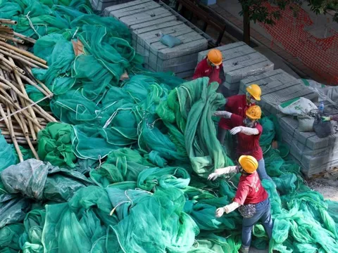 Lưới giàn giáo từ các chung cư Hong Kong đưa tới phòng thí nghiệm, phát hiện gây cháy