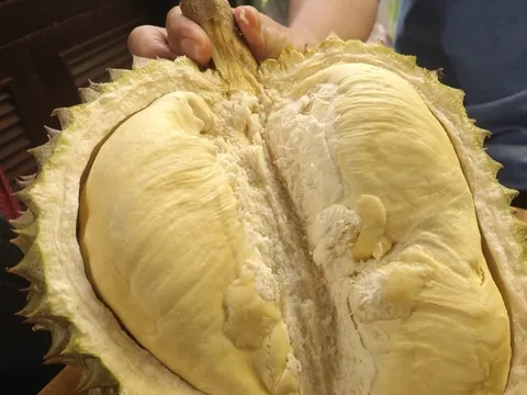 Giá sầu riêng trái vụ bất ngờ rớt mạnh