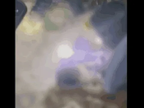 Công an thông tin vụ bé sơ sinh nghi bị "chôn sống"