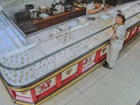 Trộm vàng của chủ, giấu trong bồn xả nước, nữ giúp việc thách thức công an "không đủ chứng cứ"