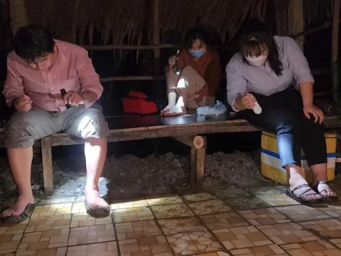 'Làm mồi' cho muỗi ở TP.HCM được hỗ trợ 130.000 đồng/đêm