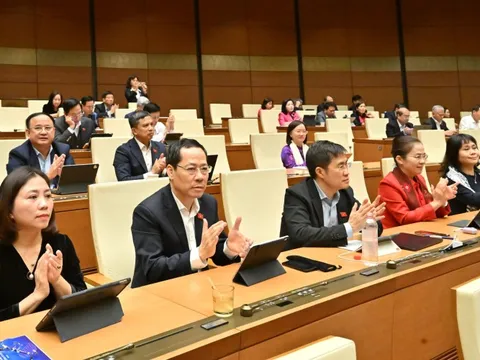 Tư nhân được đầu tư điện hạt nhân quy mô nhỏ, nhiều cơ chế cho điện gió ngoài khơi