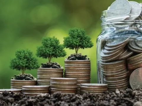 CT Group đón tin vui, khai phá "mỏ vàng Carbon" 200 triệu USD/năm