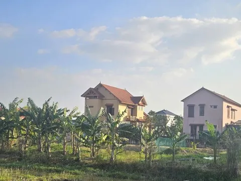 Quảng Trị: Sẽ thu hồi 1.500m² đất cho gia đình nguyên bí thư phường thuê 500.000 đồng/năm