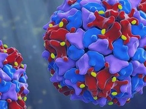 Virus bại liệt có nguy cơ xâm nhập, vắc xin là "lá chắn" tốt nhất