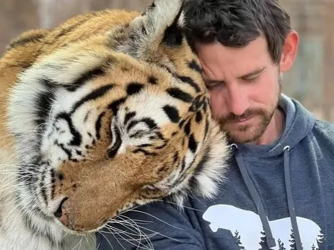 Hé lộ nguyên nhân cộng sự của 'Vua hổ' bị hổ tấn công đến chết