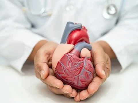 Thêm giải pháp điều trị, phẫu thuật tim mạch ít xâm lấn cho người bệnh