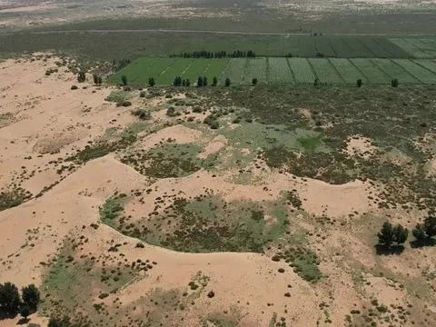 Trung Quốc ‘vỡ mộng’: Tốn 50 năm trồng 66 tỷ cây làm Vạn Lý Trường Thành nhưng vẫn bị sa mạc 'nuốt chửng' đất, tham vọng chế ngự thiên nhiên có khả thi?