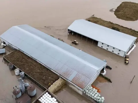 Trận lũ lịch sử cuốn trôi nhà cửa, cô lập hàng nghìn gia đình ở bang Washington