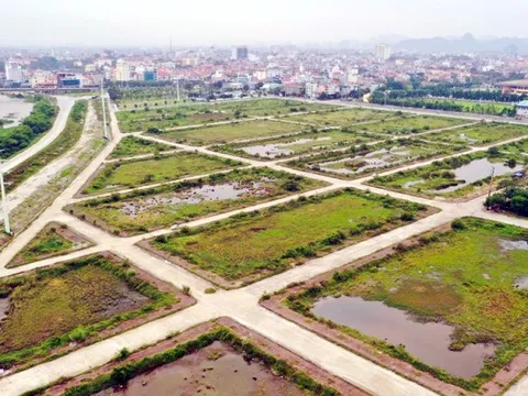 Bất ngờ với “rổ hàng” đất đấu giá vừa công bố tại Ninh Bình