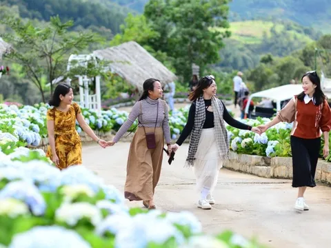 Thời tiết hôm nay 14-12: Bắc Bộ có nơi dưới 5 độ C, Trung Bộ mưa to, Nam Bộ nắng