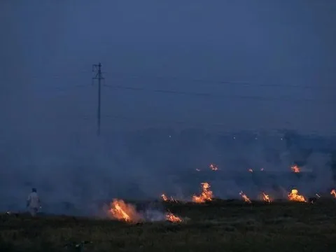 Phổ cập văn hóa môi trường