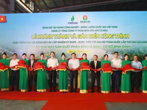 Gia Lai khánh thành nhà máy sản xuất phân bón công suất sản xuất 50.000 tấn/năm