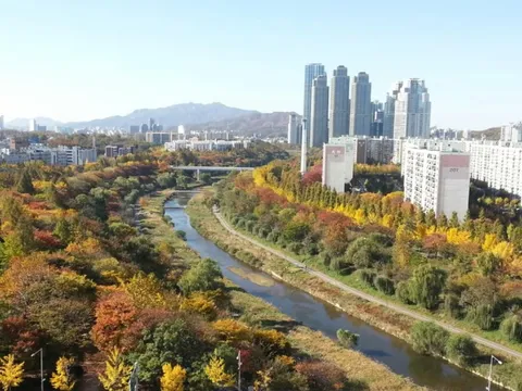 Từ cống rãnh đến dòng chảy xanh: Câu chuyện hồi sinh sông suối ở Hàn Quốc