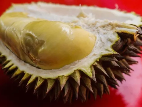 Thêm một quốc gia Đông Nam Á được chấp thuận xuất khẩu sầu riêng sang Trung Quốc