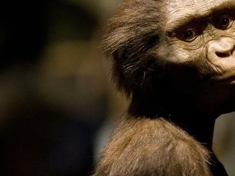 Bàn chân 3,4 triệu tuổi làm thay đổi lịch sử loài người