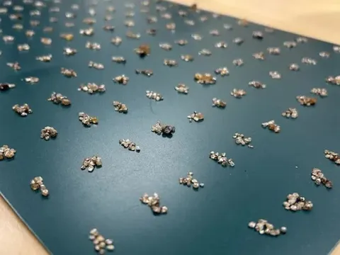 Bắt giữ du khách mang theo 11.000 viên kim cương trong hành lý xách tay đến Đức