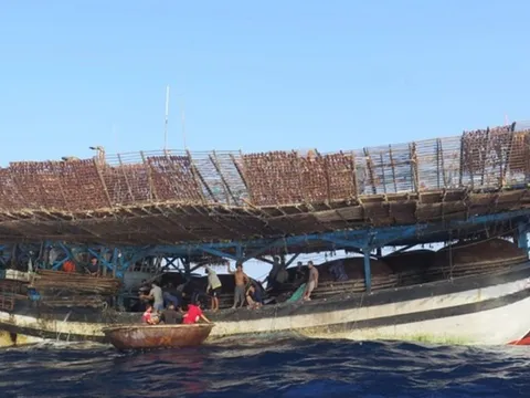 Tàu cá Đà Nẵng chở 55 thuyền viên bị cháy, chìm trên biển, nhiều tàu đang cứu hộ