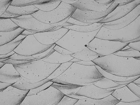 Phát minh phá vỡ truyền thống về "ma trận nhôm" có thể rung chuyển ngành công nghiệp ô tô toàn cầu