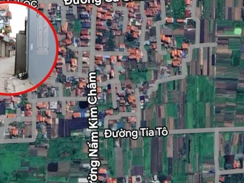 Xôn xao đường ở Hà Nội đặt tên Cà Chua, Hành Tây, Nấm Kim Châm: Sự thật bất ngờ