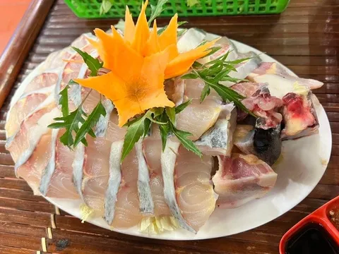 Loại cá không xương, thịt dày, bổ như cá hồi sẵn có ở Việt Nam