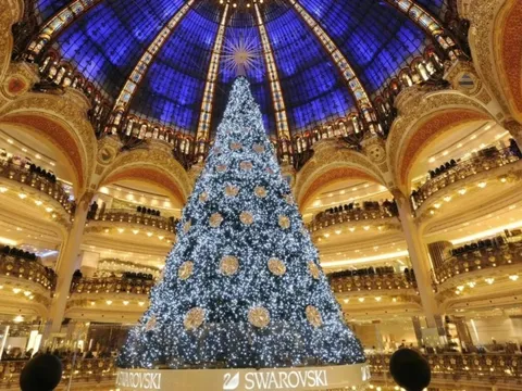 Cây thông Noel đắt nhất hành tinh