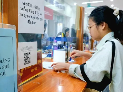 Tin tức sáng 20-12: Rút ngắn thời gian chờ hưởng trợ cấp thất nghiệp; Giá heo hơi bật tăng