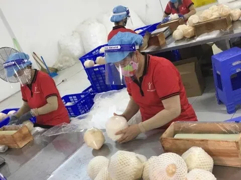 Thích ứng chính sách thuế của Mỹ vừa cấp bách, vừa lâu dài