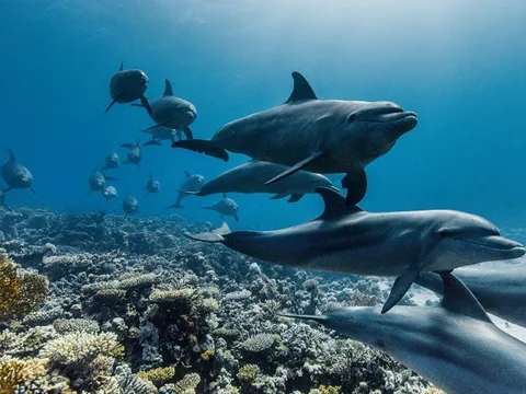 7 thành tựu khoa học truyền cảm hứng năm 2025