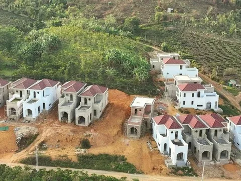 Đất vi phạm trước 1/7/2014 có thể được xem xét cấp sổ đỏ