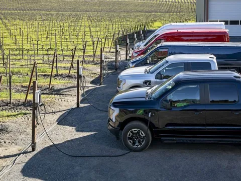 Ford âm thầm khai tử thêm nhiều mẫu xe điện