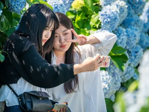 Cư dân nước ngoài tăng kỷ lục ở Hàn Quốc, người Việt đông bậc nhất